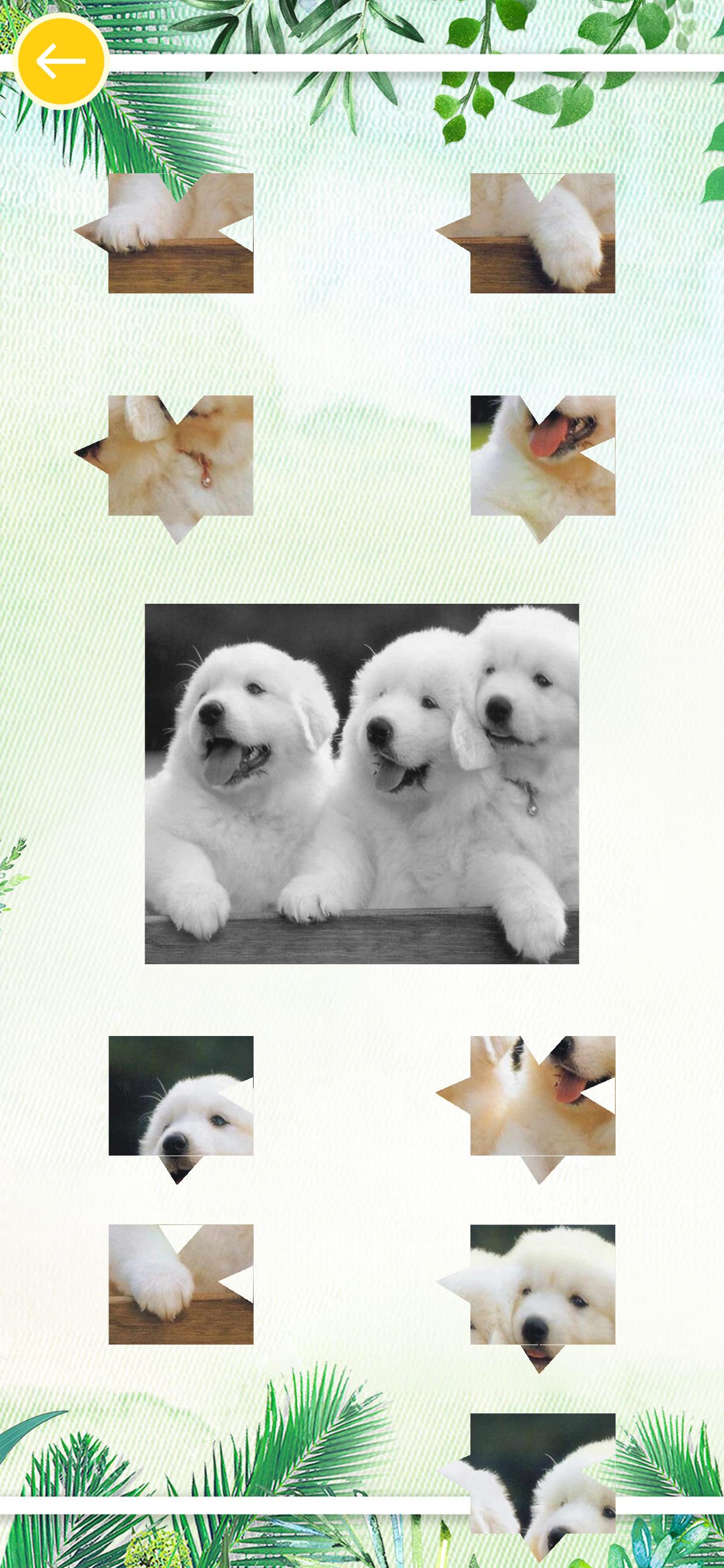 天天开心拼图（测试版）游戏截图