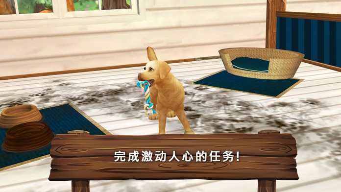 Pet Hotel Premium游戏截图