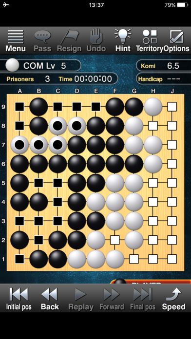 Champion Go游戏截图