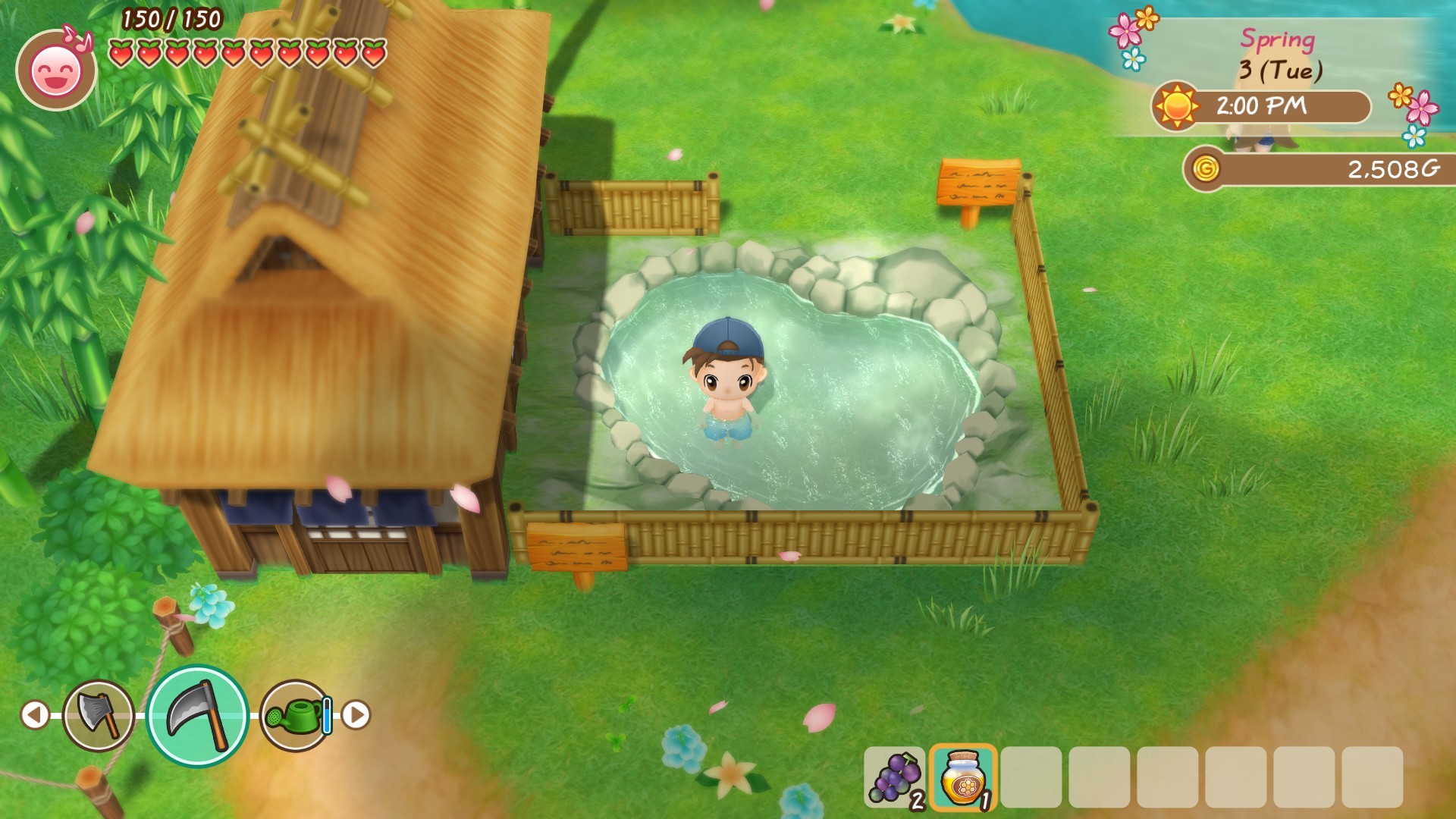 STORY OF SEASONS: Friends of Mineral Town游戏截图