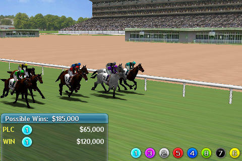 Virtual Horse Racing 3D游戏截图