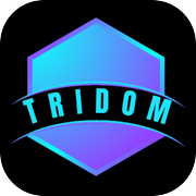 TriDom: Strategy Puzzle Game