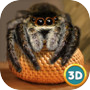 Spider Pet Life Simulator 3Dicon
