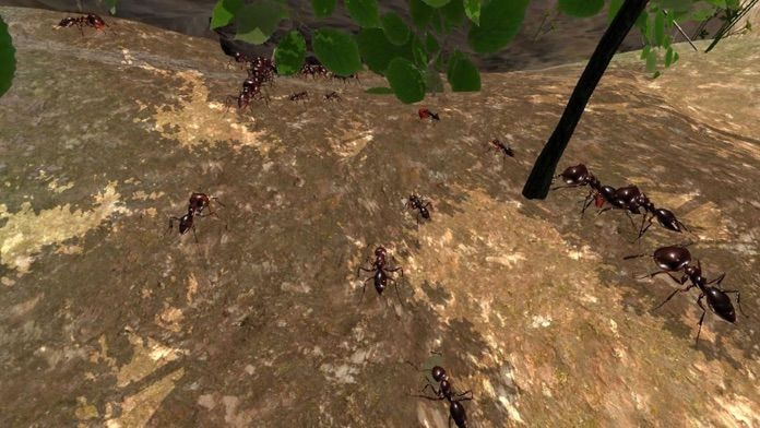 Ant Simulation Full游戏截图