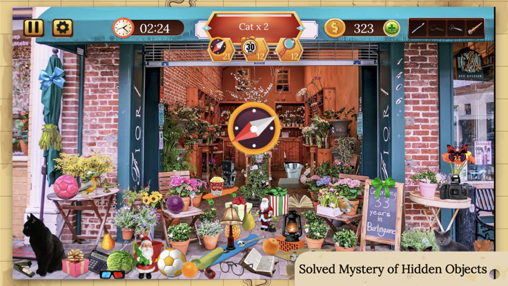 隐藏的神秘: 尋找隱藏物品游戏截图