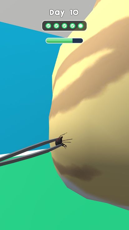 Pet Doc 3D游戏截图