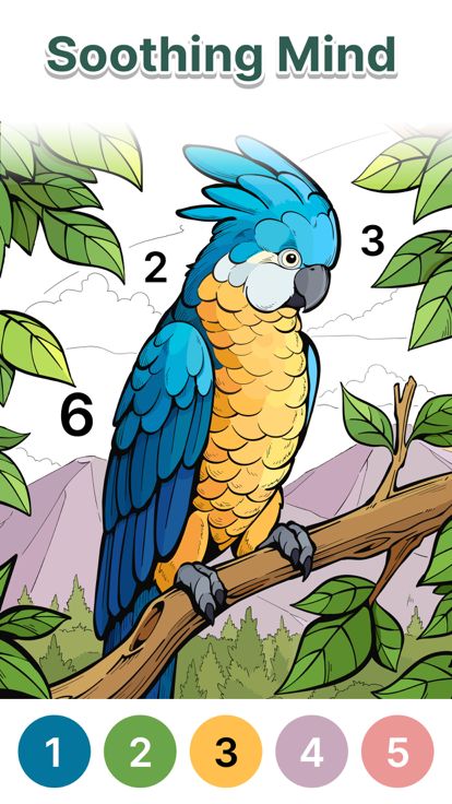 Anima Color for Seniors游戏截图