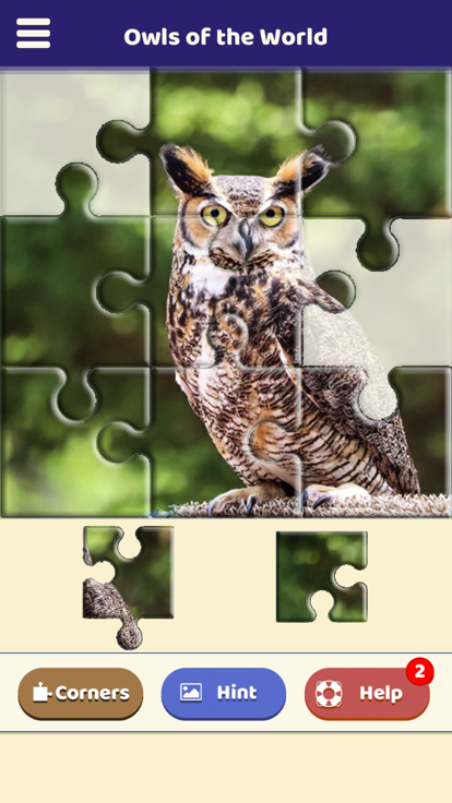 Owls of the World Puzzle游戏截图