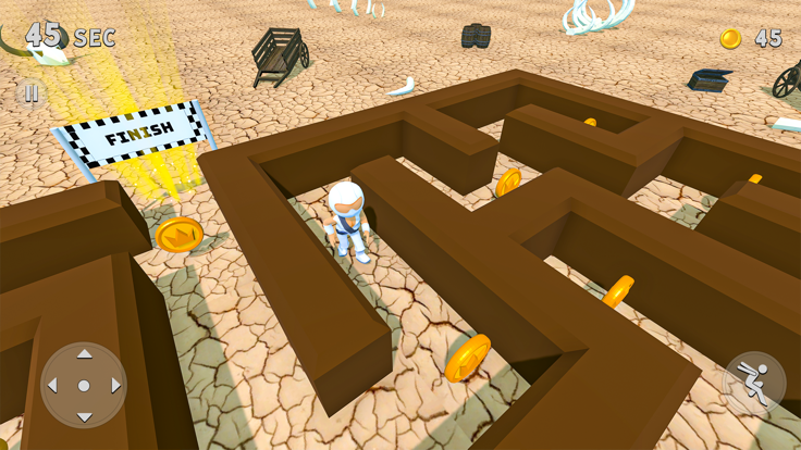 Maze Runner 3D Game游戏截图