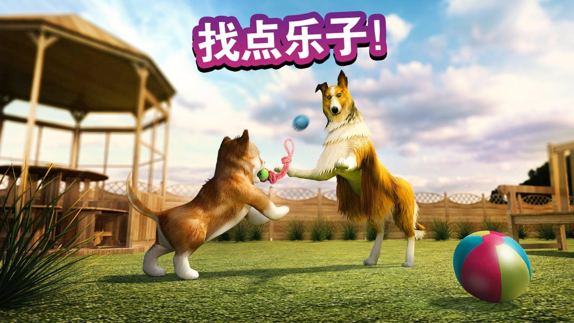 狗狗 Dog Simulator游戏截图