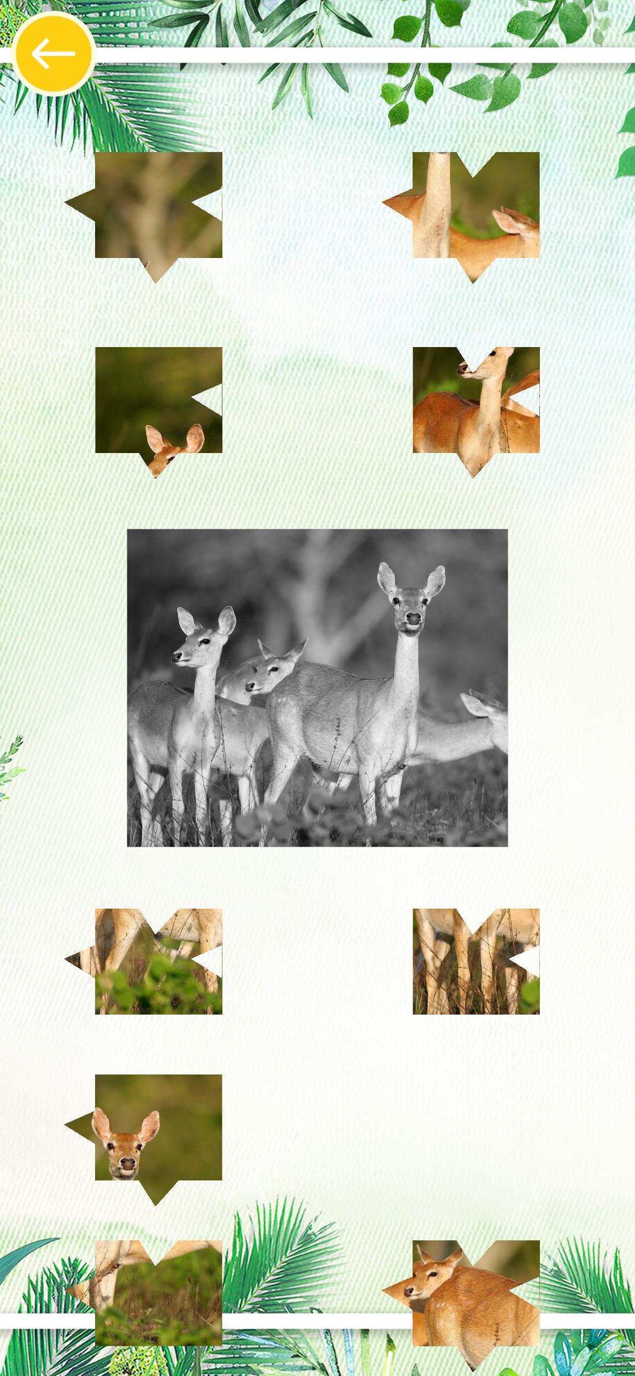 天天开心拼图（测试版）游戏截图