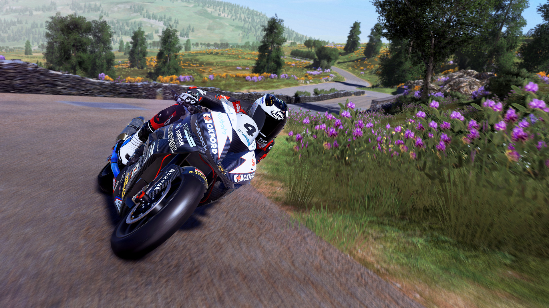 TT Isle of Man: Ride on the Edge 2游戏截图