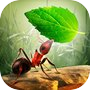 Little Ant Colony - Idle Gameicon