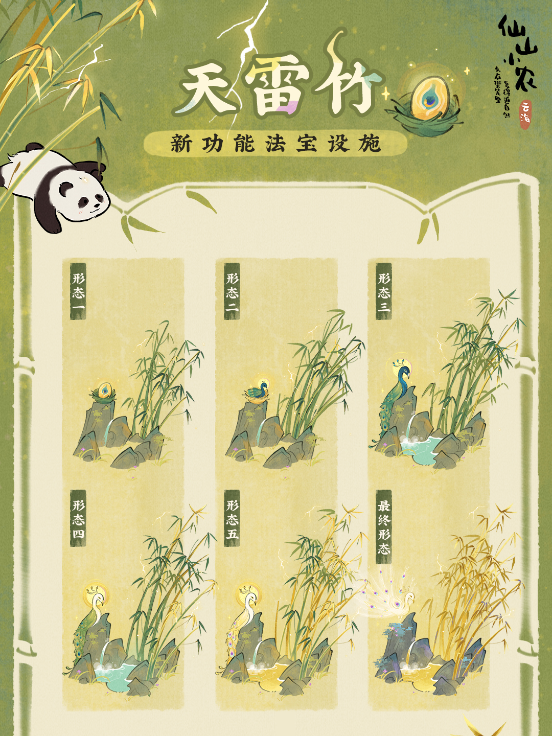 【天雷竹】
