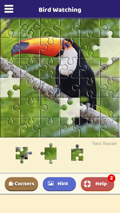 Bird Watching Puzzle游戏截图