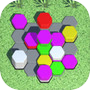 Hexa Color Sort 3Dicon