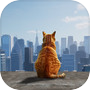 Kitty Escape : Only Way Downicon