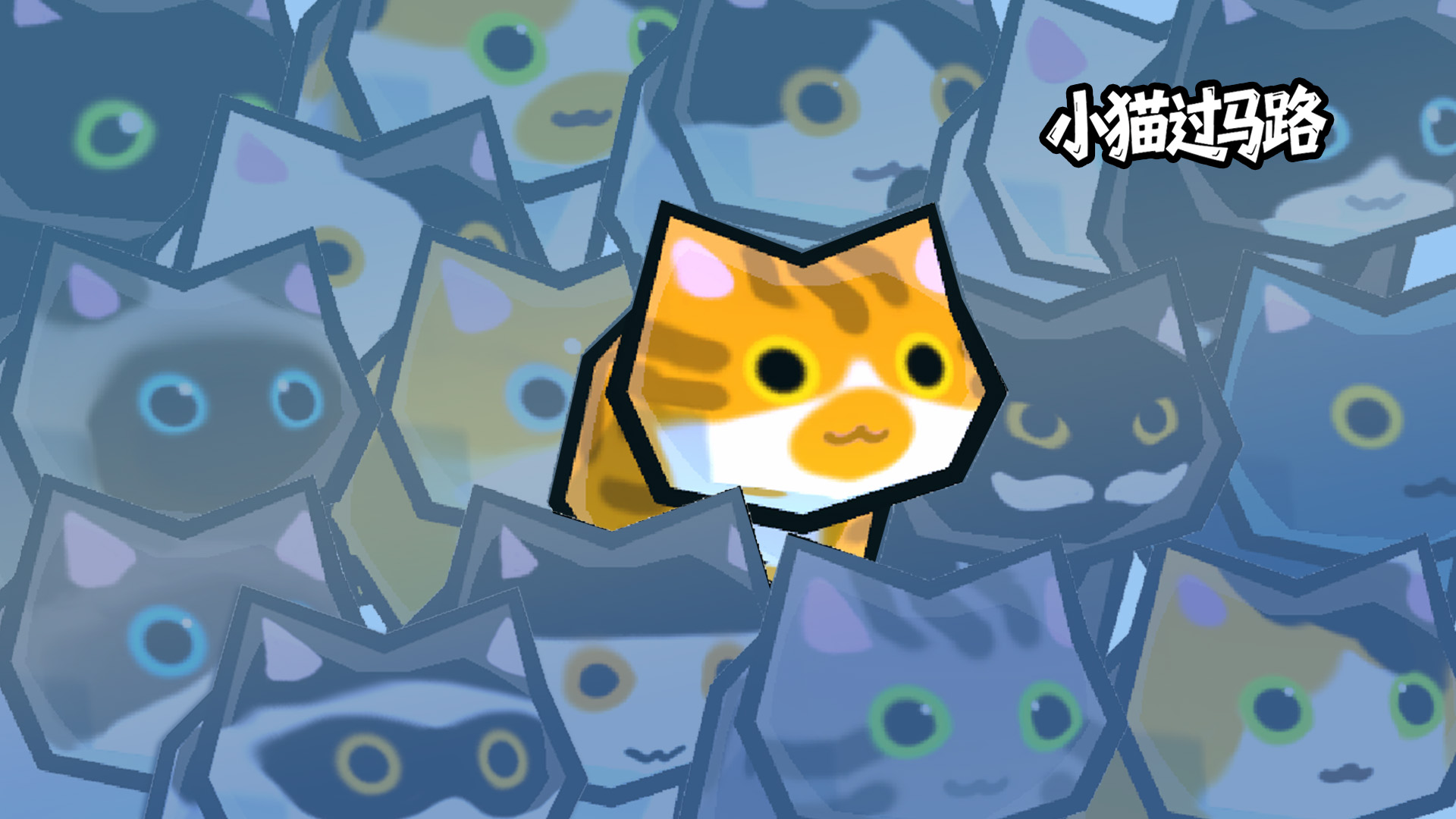 小猫过马路