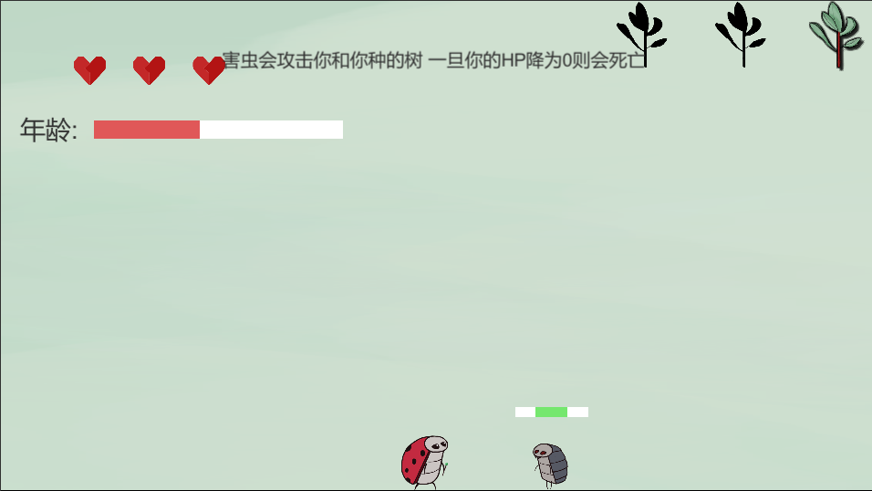 时间瓢虫