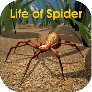 Life of Spider Life of Spider