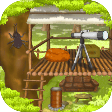 Wonder tree house Wonder tree house