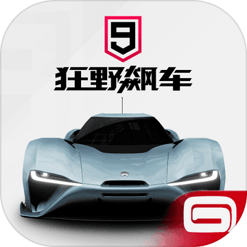 Wild Racing 9: Legend of Racing Wild Racing 9: Legend of Racing