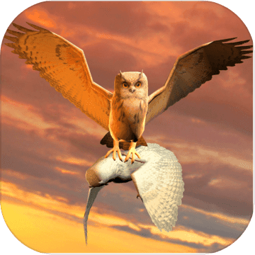Clan of Owl Clan of Owl