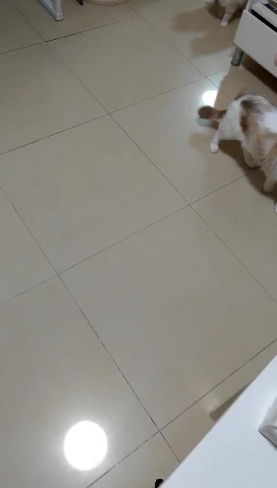 11月4日 运营日记