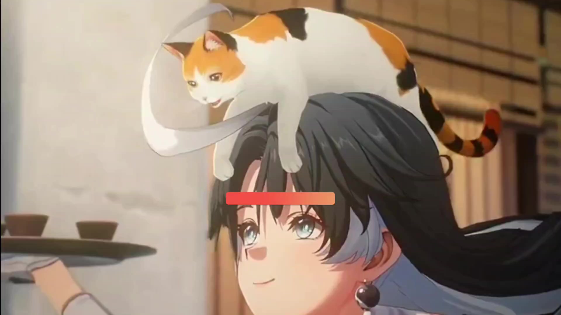 有号，没号的小伙伴一定要看的内容