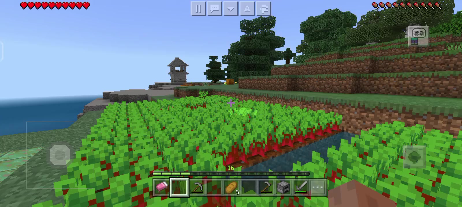 分享一下我的农田截图