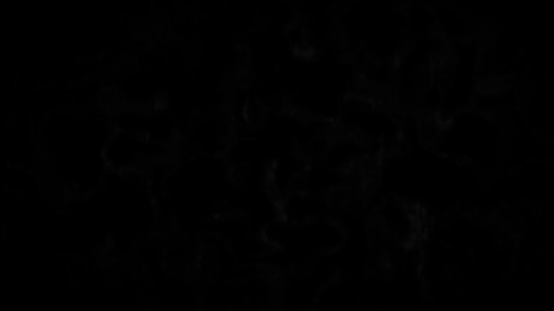 《咒术回战幻影夜行》究极机械丸PV&声优公布