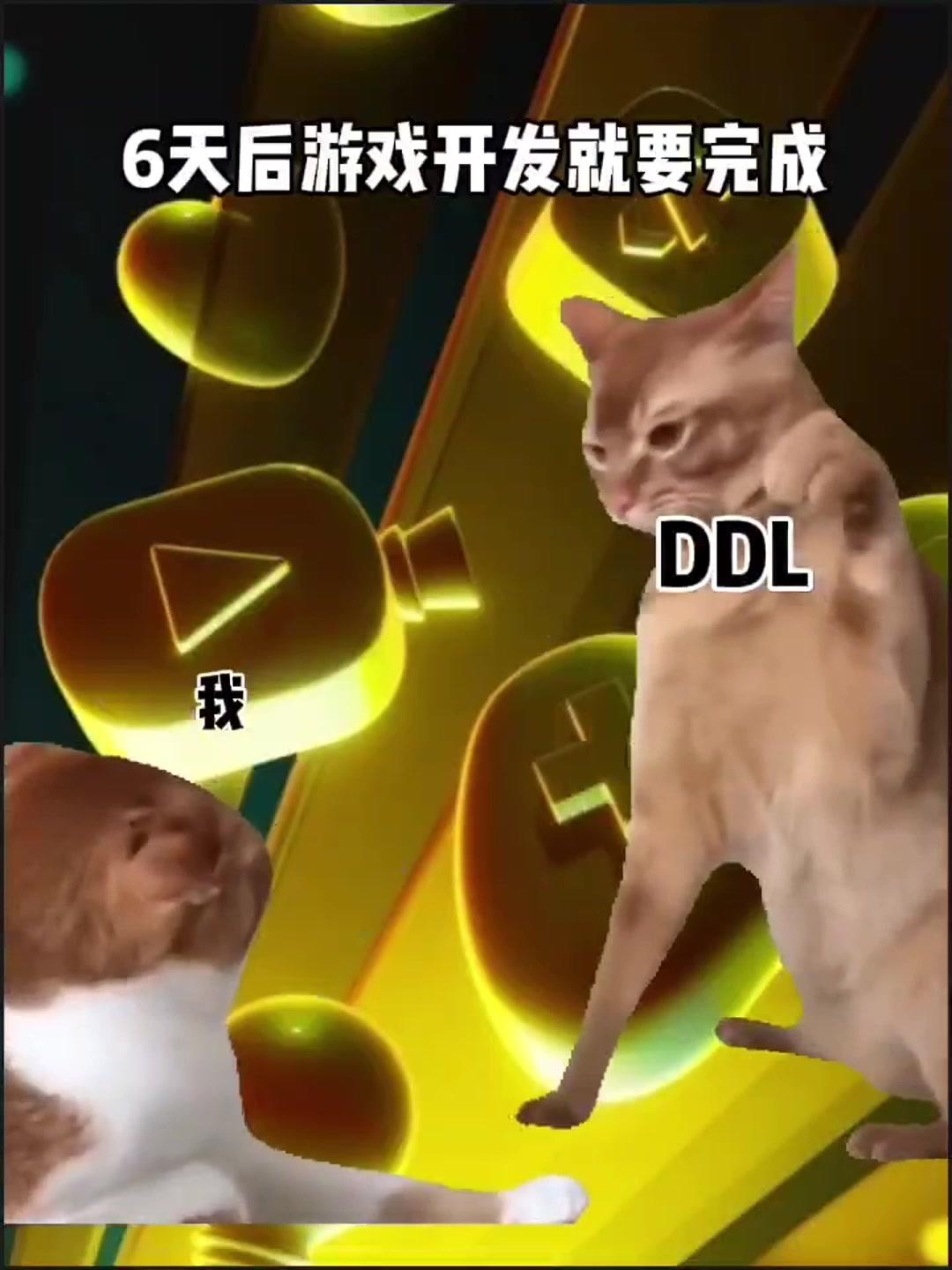 Day5开发日志| 猫meme版