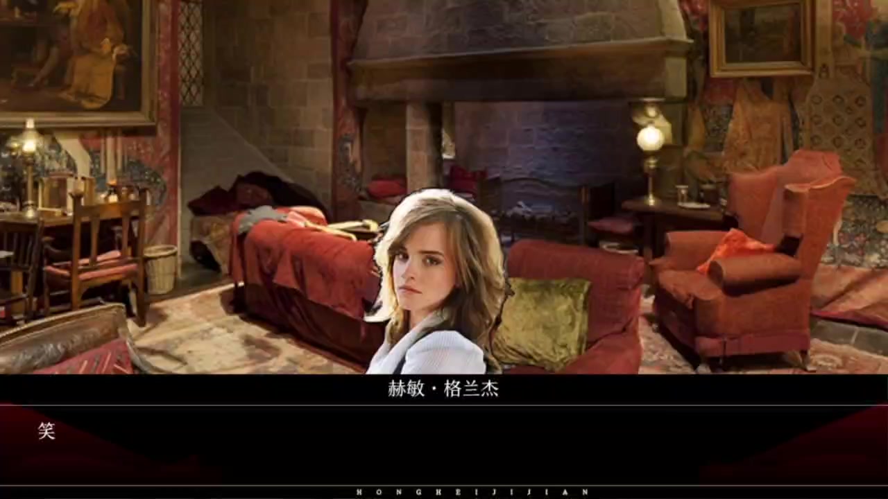 女人不努力就会变成赫敏的宠物猫