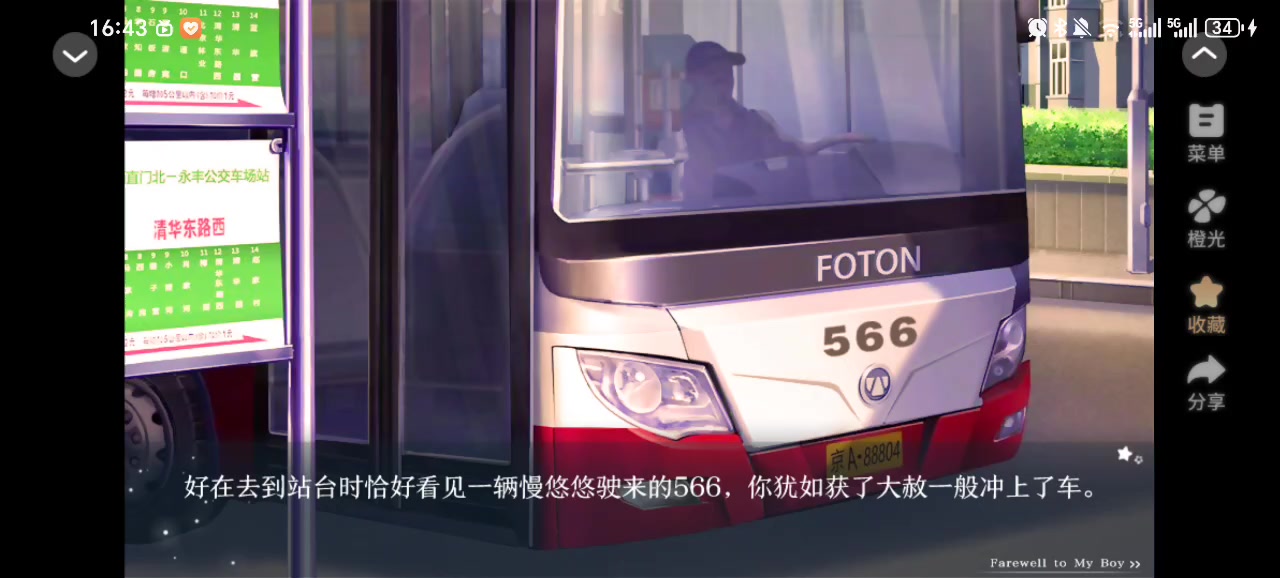 榆树上的荔枝花②截图