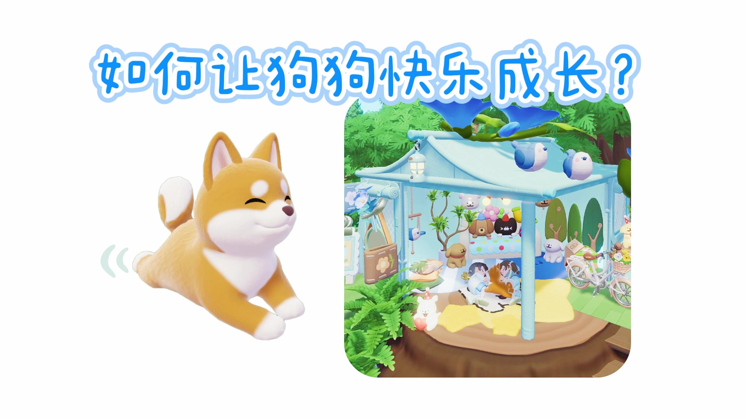 为了养狗，我连夜把家拆了……