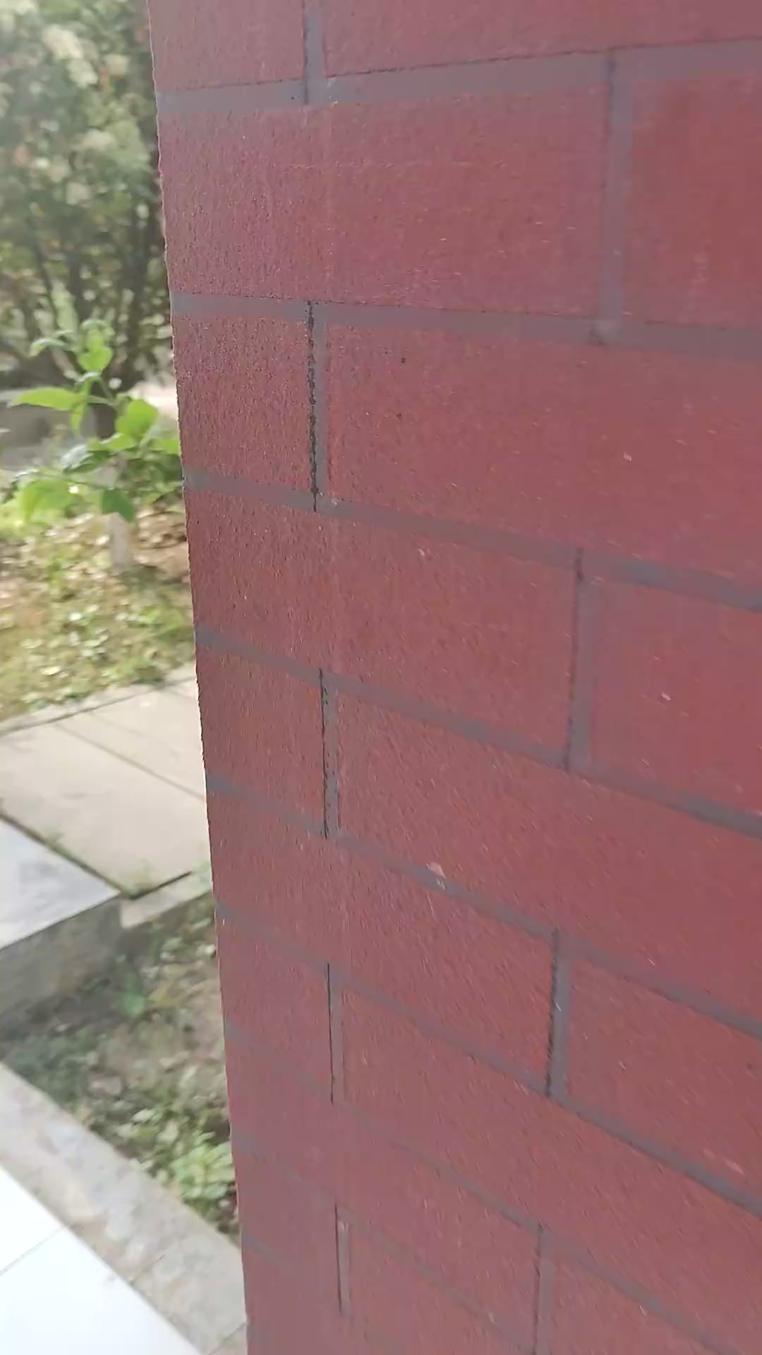 大家都帮忙看一下马叔视频截图