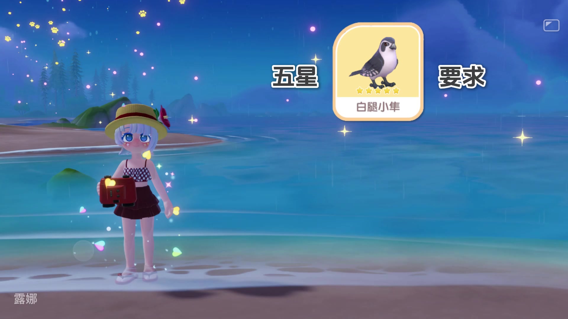限定鸟 白腿小隼 五星拍摄攻略