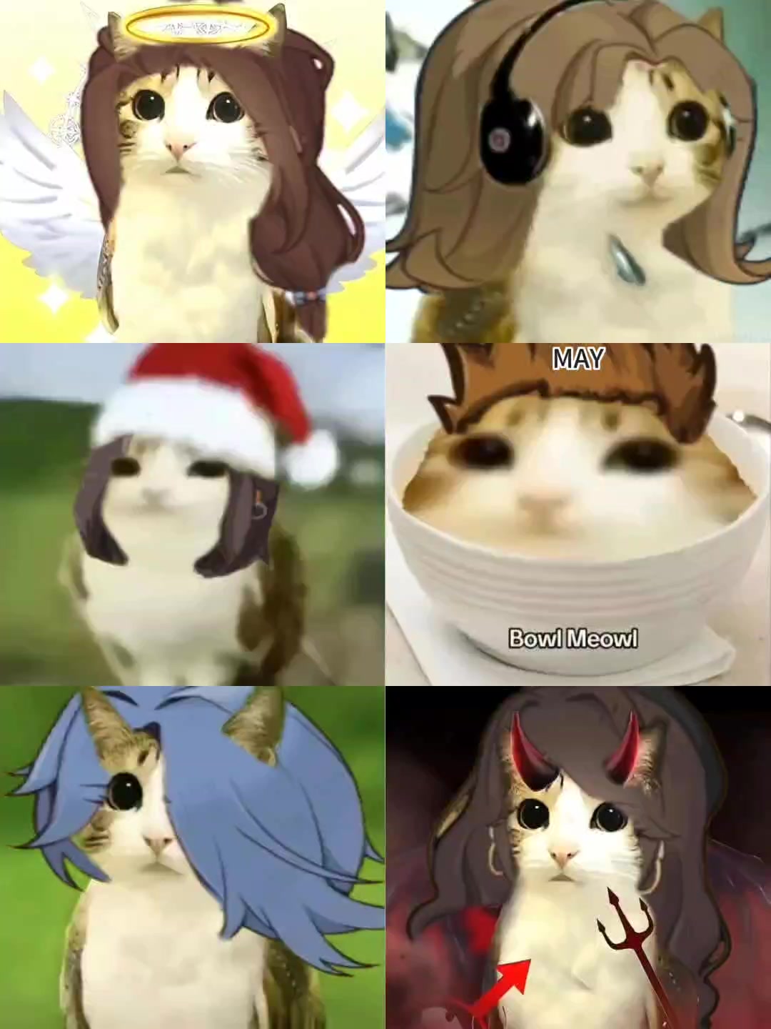 小生活✖️猫头鹰小猫｜搞笑表情包合集🐱