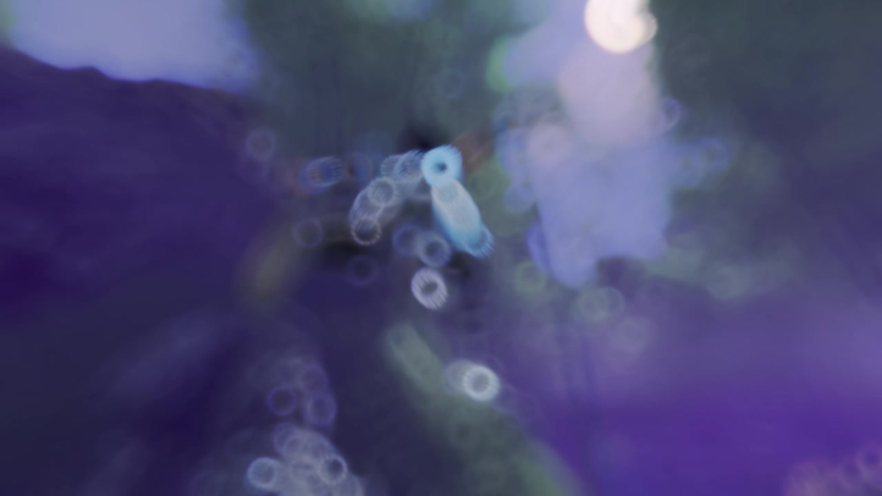 全新国风开放世界手游《逆水寒》，这才是会呼吸的江湖啊！