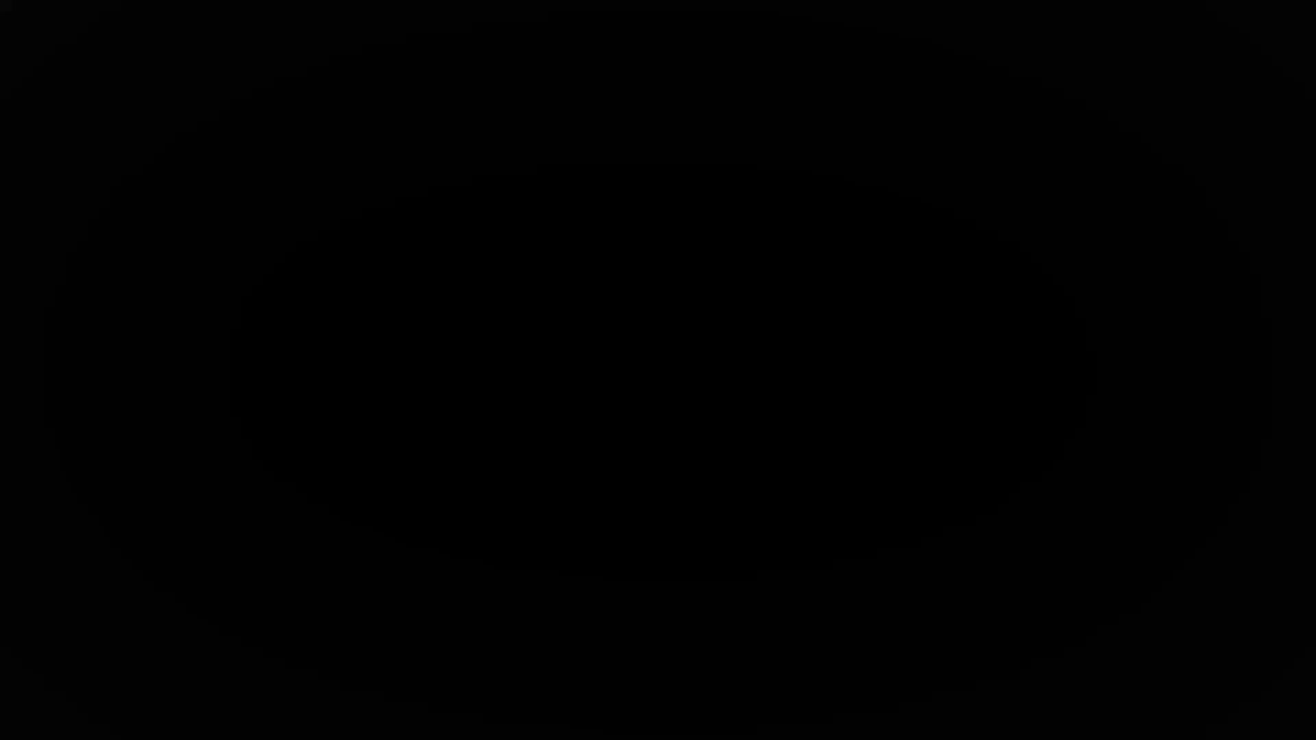 《关于执行官那天到底看到了什么》