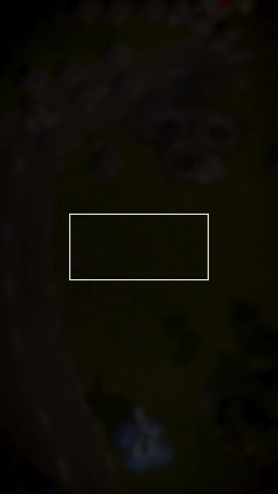 2月2日，🎉 每周最佳回放第 3 期！