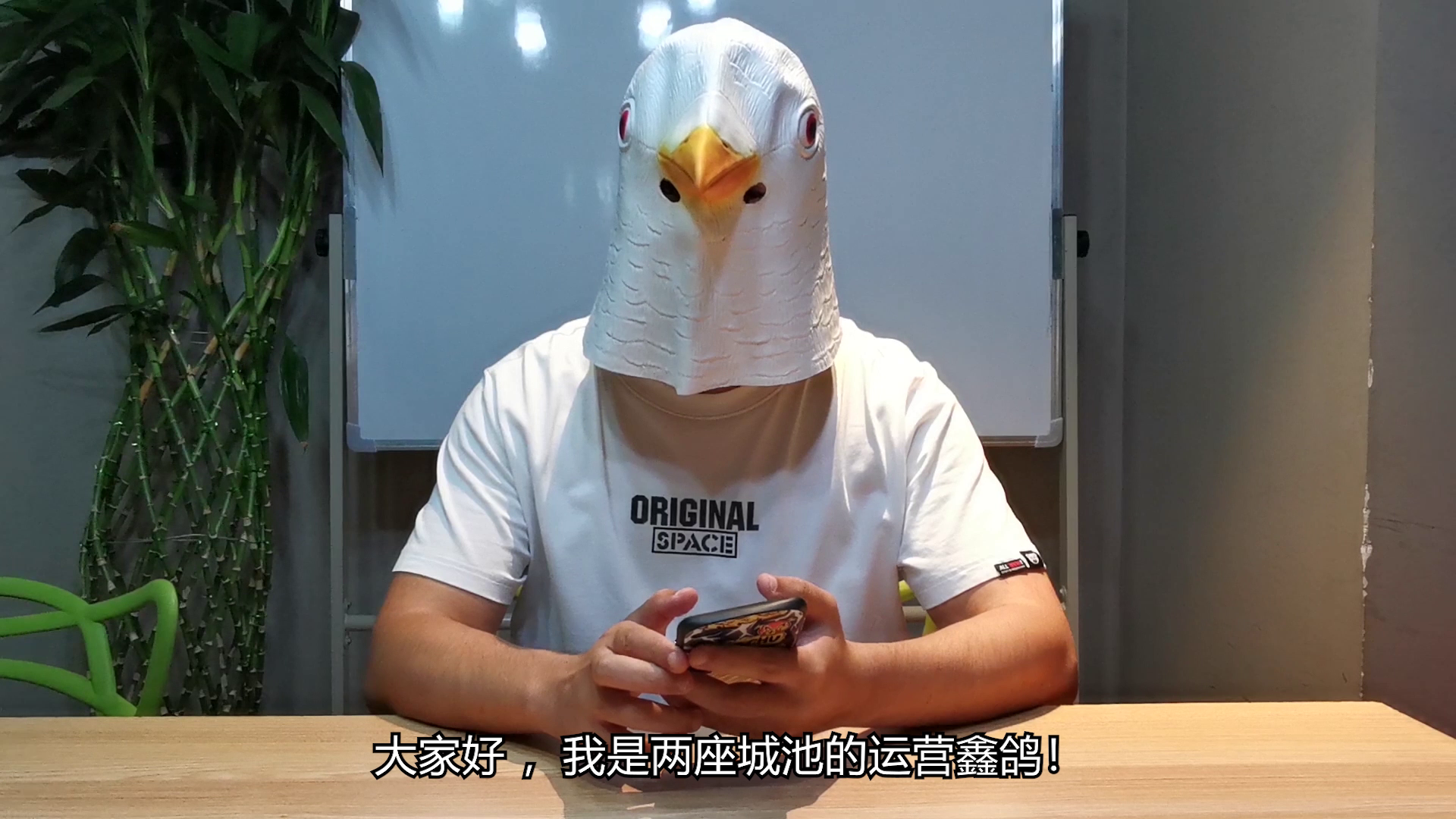 【鑫鸽上分日记】鑫鸽上镜初体验之大战隔壁老王