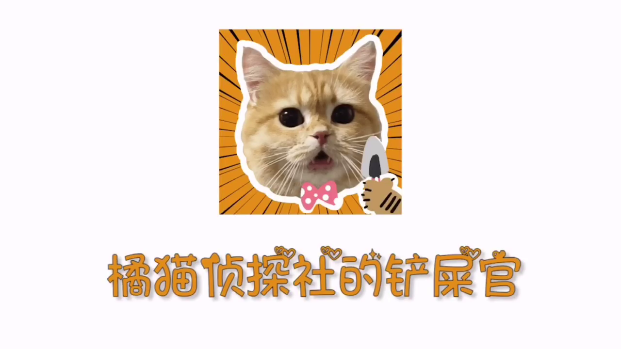 橘猫侦探社-NPC副社长介绍，这个十分神秘的家伙究竟有什么魅力？