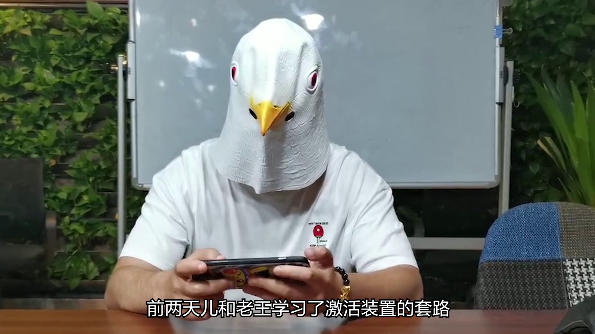 【鑫鸽上分日记】鑫鸽卧薪尝胆之暴打萌妹