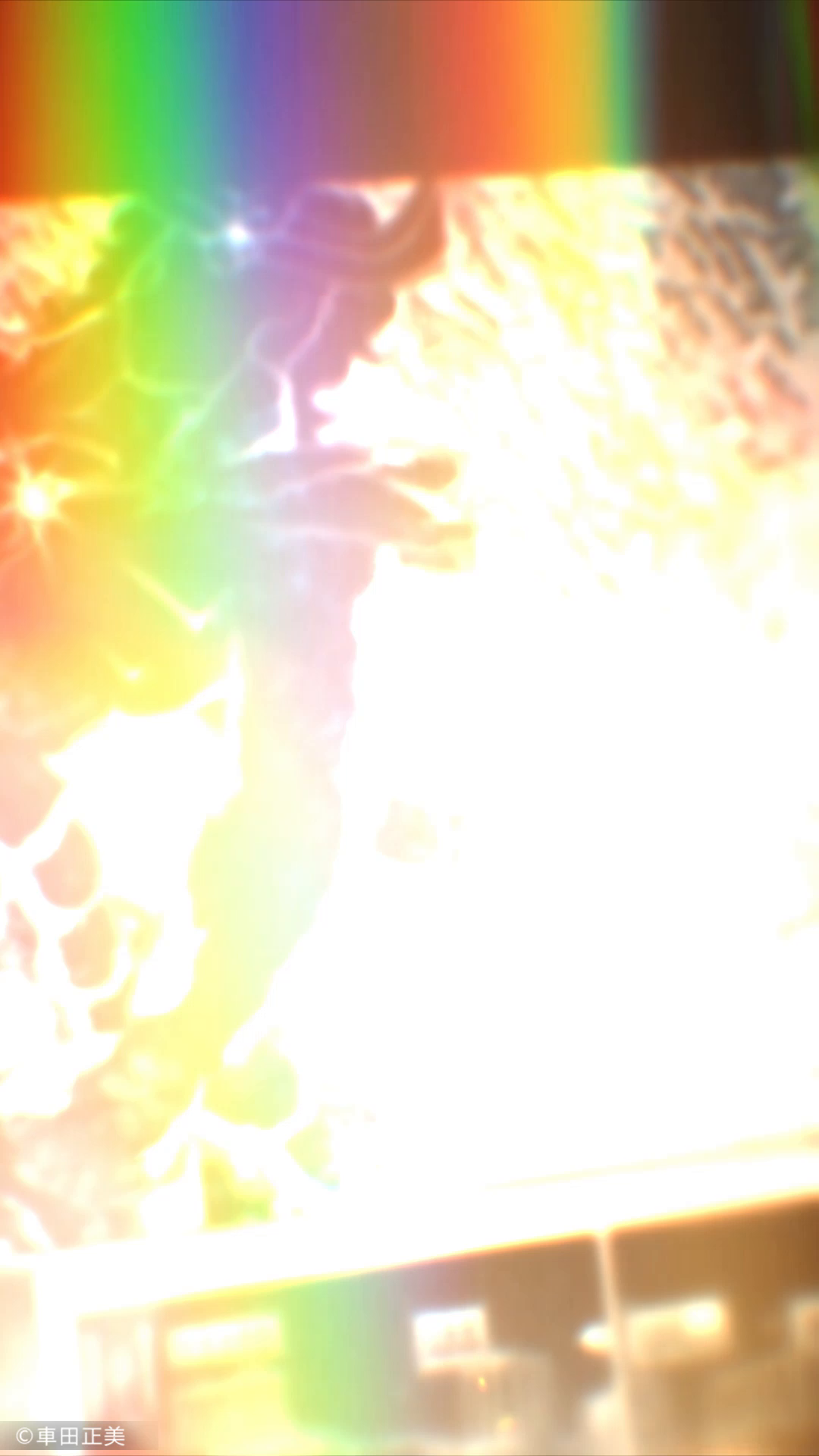 【圣域情报站】青铜圣斗士集结之 一辉