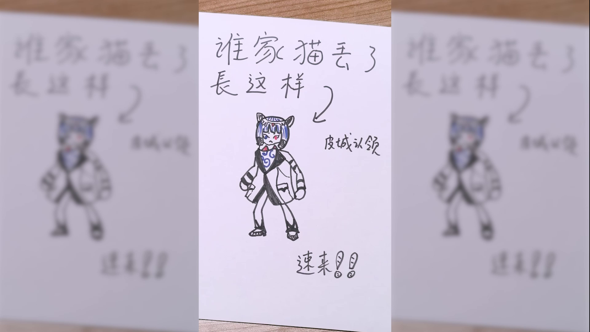 谁家的猫猫走丢了？速来认领！