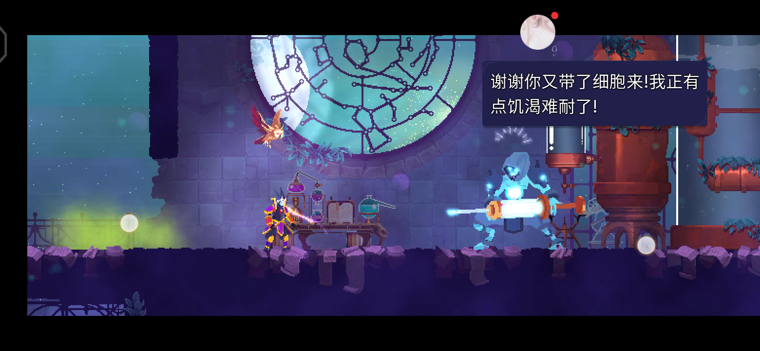 喝药家低卷轴过法