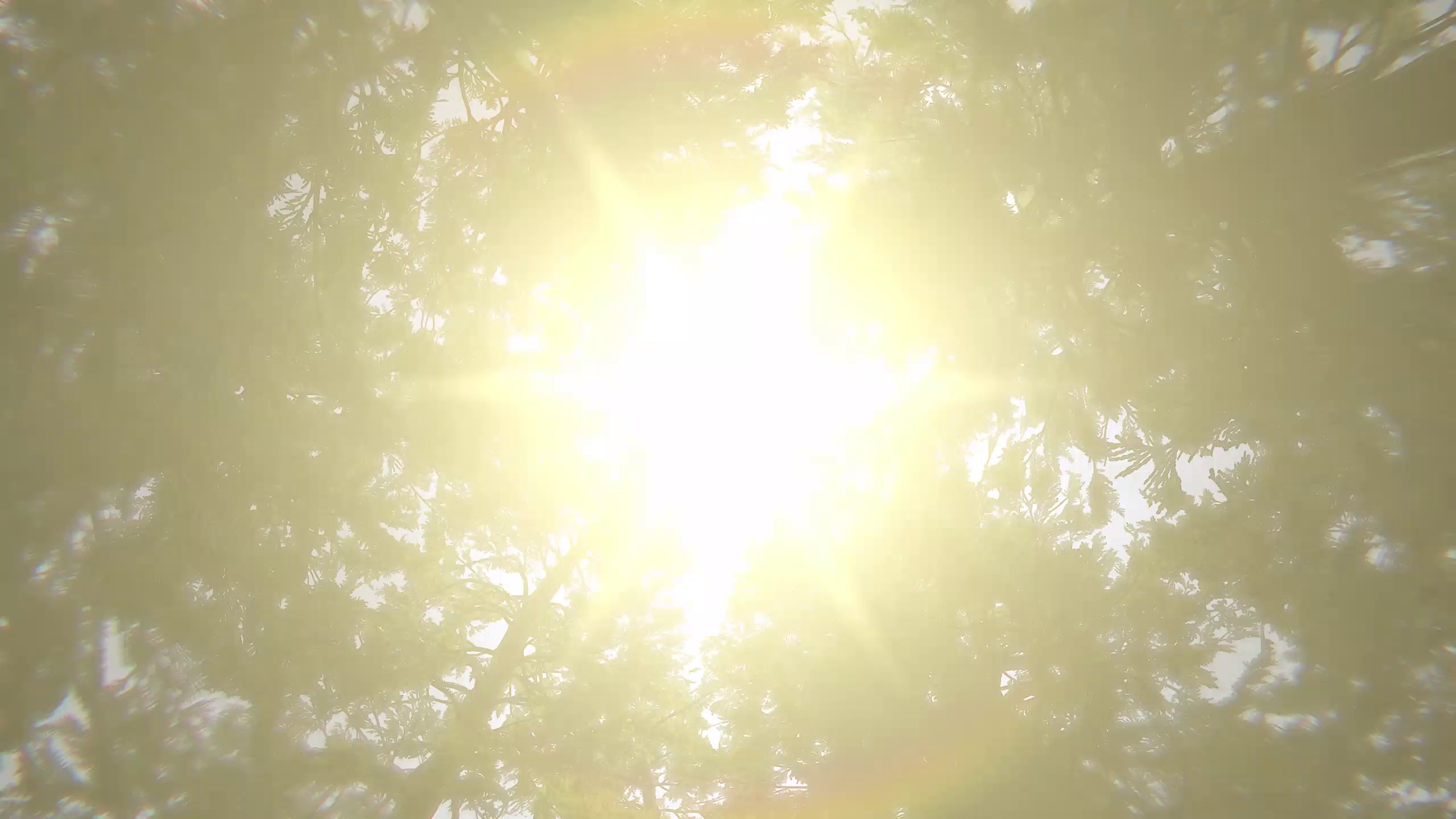 全新场景曝光！隐藏于金色沙漠深处的汽车坟场