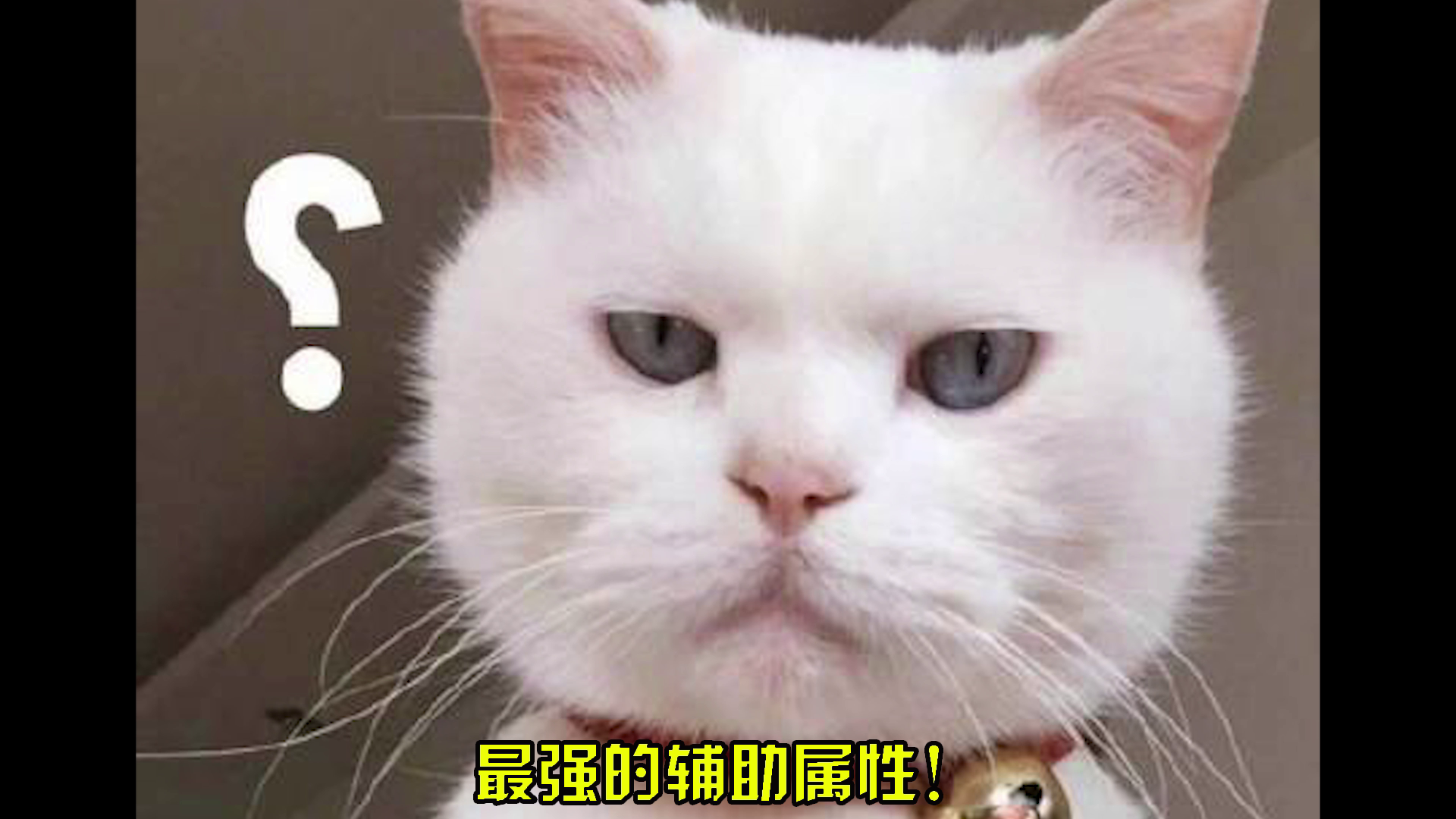 最强属性搭配，光暗美少女任你选！