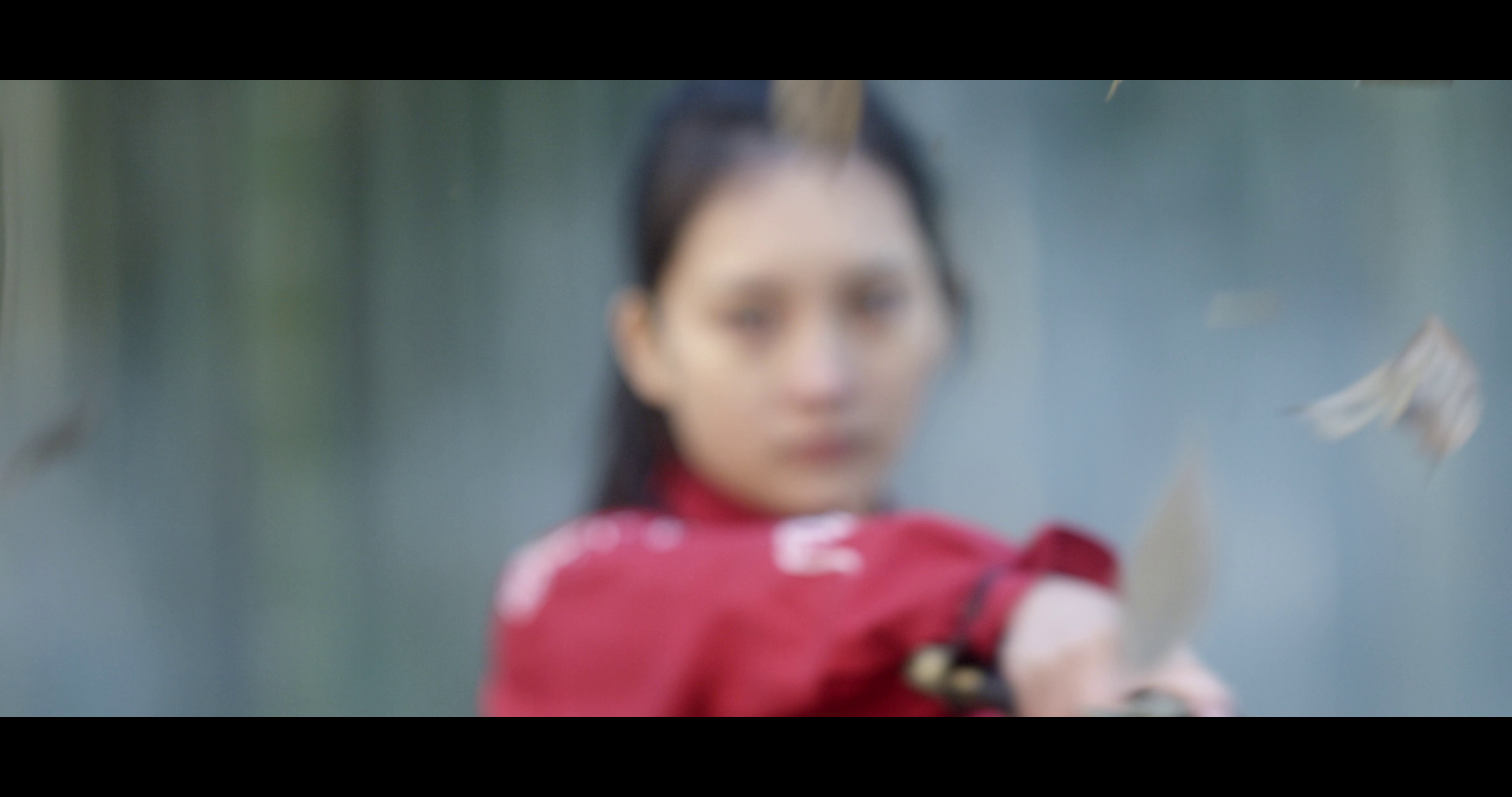 【互动有奖】匠心打造唯美江湖，《新射雕群侠传》新春版本全面升级！